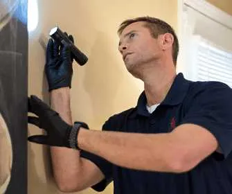 Pest Control Lenoir North Carolina