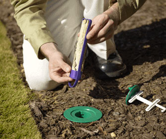 termite control in North Carolina