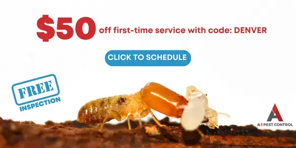 Limited time offer for $50 discount on pest control services for Denver, NC residents