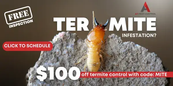 Picture of an ad that says termite control services $100 off termite service with A-1 Pest Control
