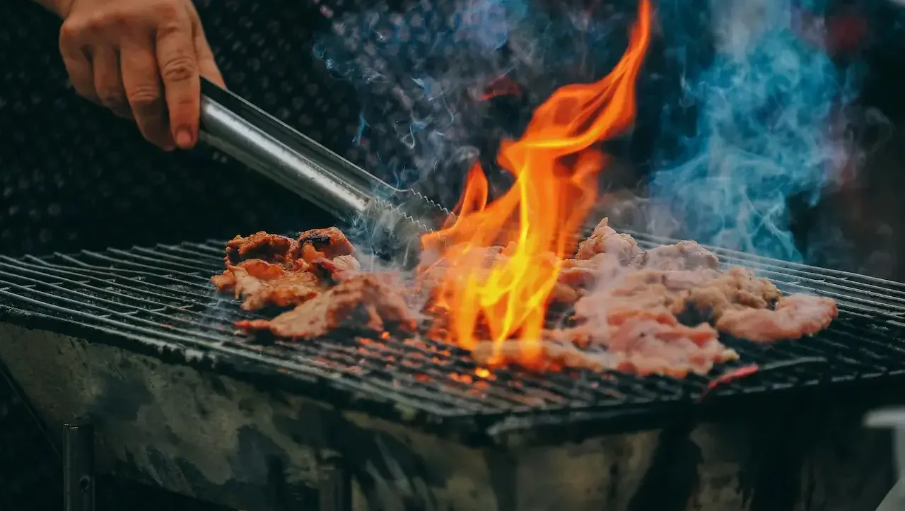 Picture of a person grilling for the ad about ant control in North Carolina.
