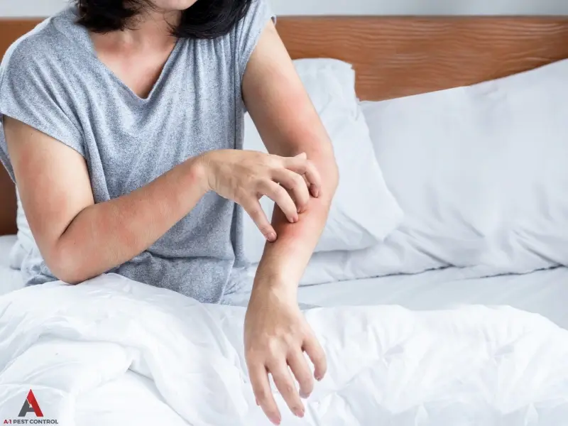 A woman scratches her arm. This image is for the page "Bed Bug Extermination and Control in Huntersville, NC"