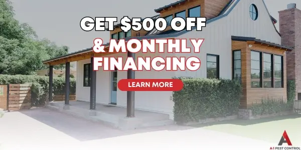 crawl space encapsulation discount