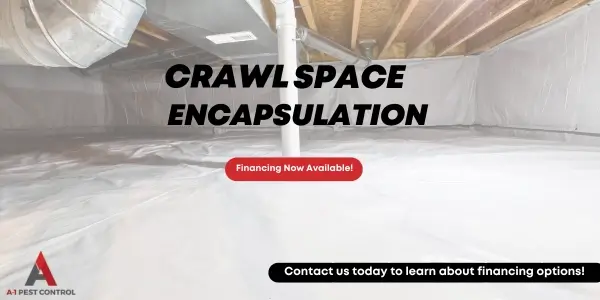 crawl space financing option.