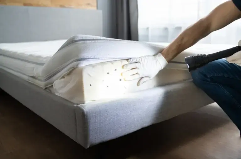 asheville nc bed bug control