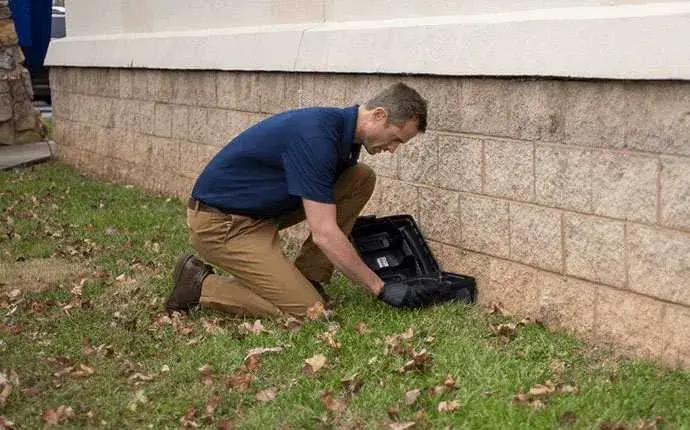 rodent prevention and control in mooresville