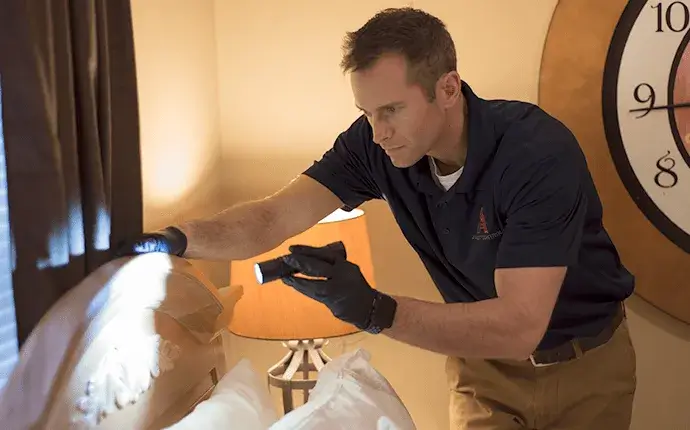 hendersonville, NC bed bug inspection