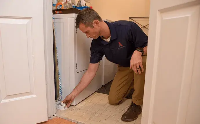 rodent control in hendersonville, NC