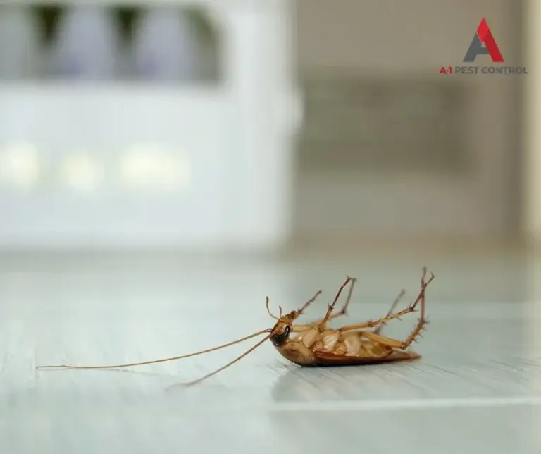 mooresville commercial cockroach control