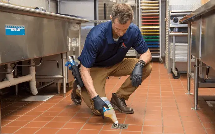 pest prevention in asheville nc