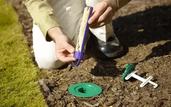 sentricon termite baiting program