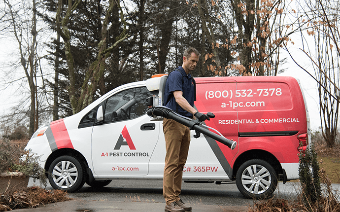 a-1 pest control mosquito control programs