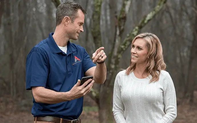 hickory ant inspection