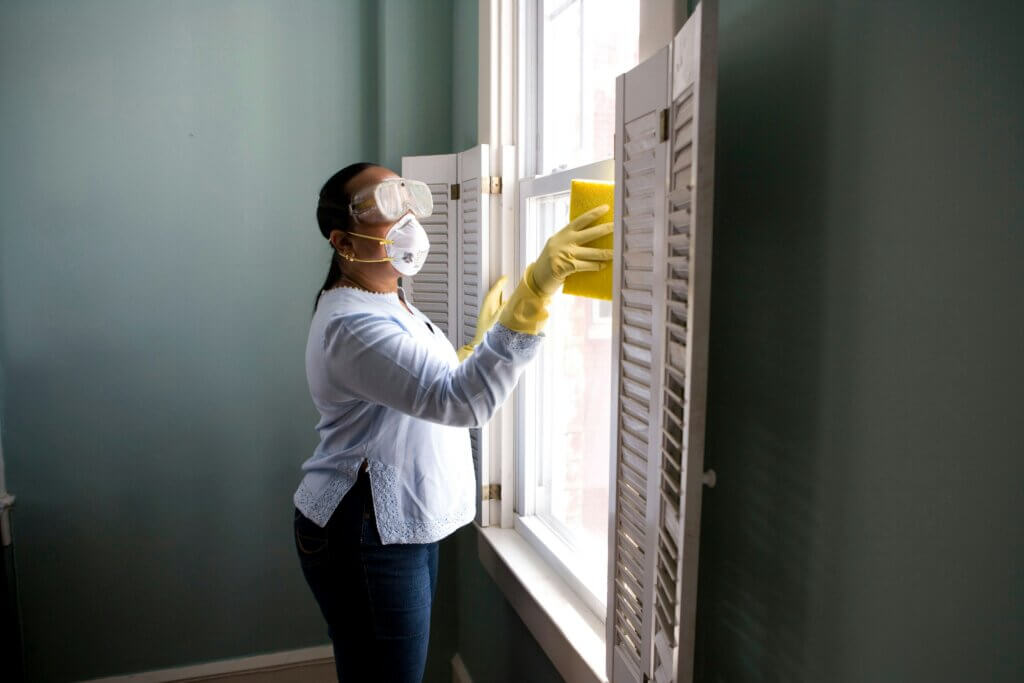 Find pest control in Asheville, NC