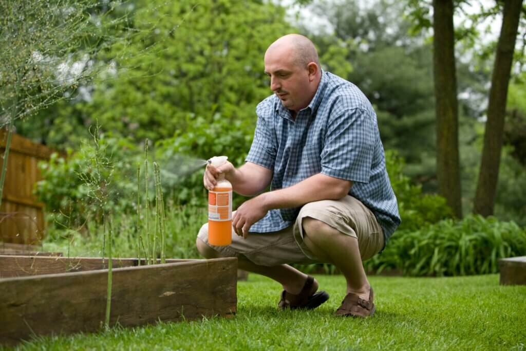 Signs you need pest control in Asheville, NC