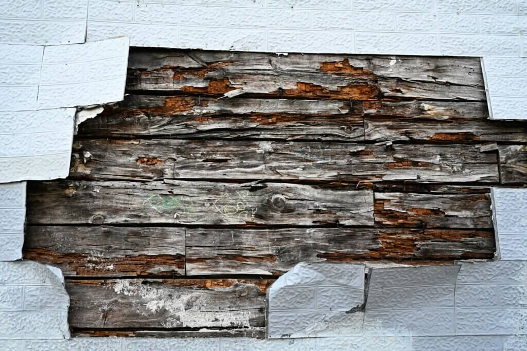 Signs of termite damage in NC