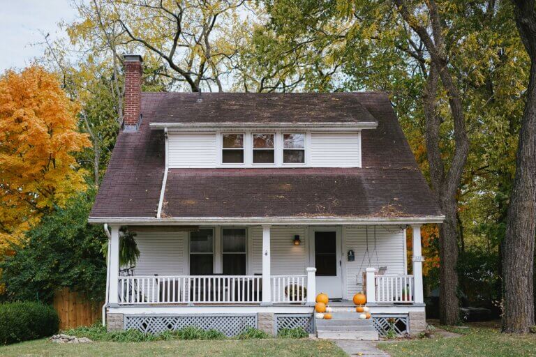 Local pest inspection NC