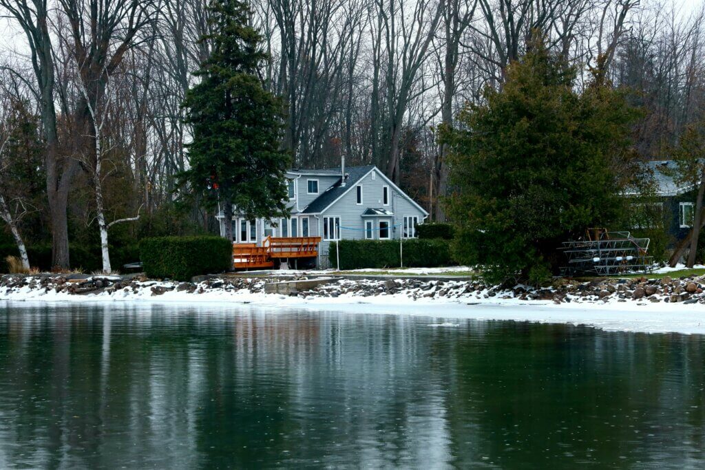 Winter pest control in NC services