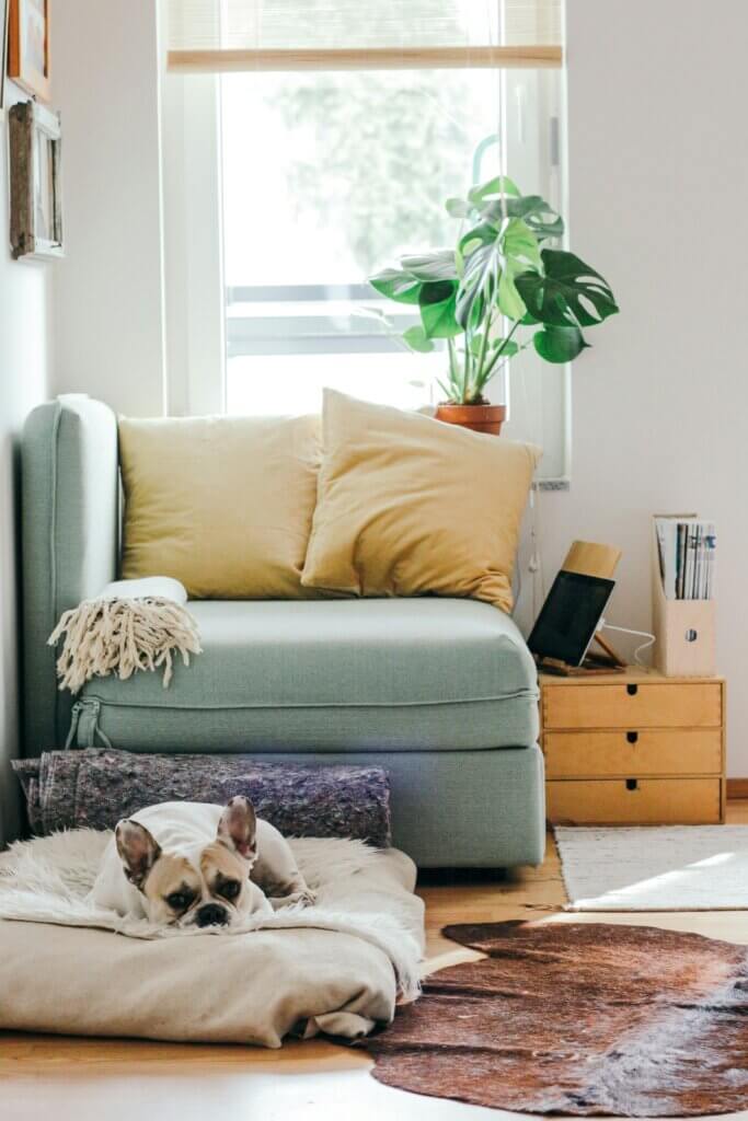 Signs you need termite treatment for north carolina homes