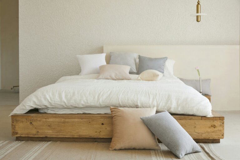 Bed bug treatment North Carolina
