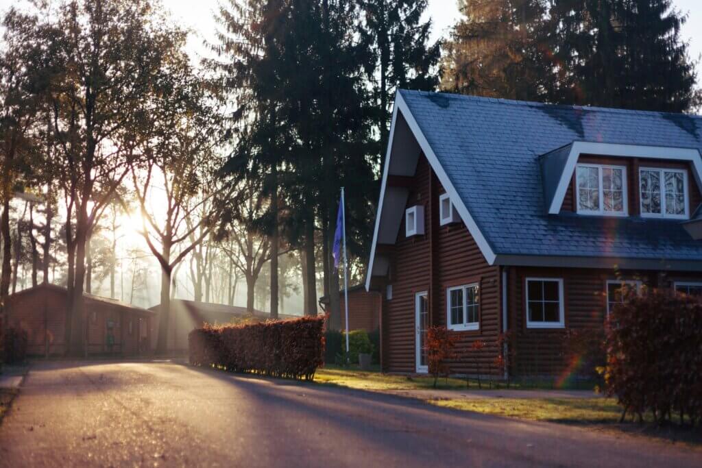 Benefits of termite treatment for North Carolina