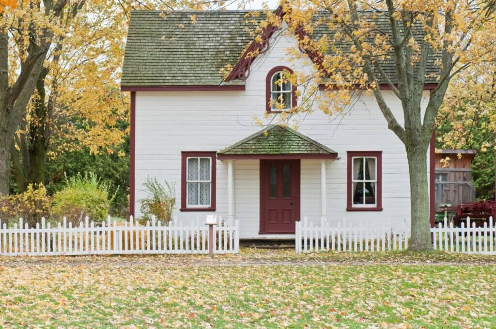 Termite treatment for North Carolina common services
